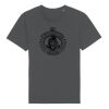 Rocker the essential unisex t-shirt (STTU758) Thumbnail